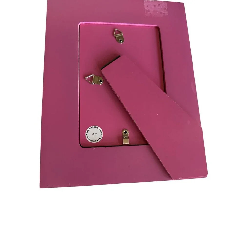 Set Of 2 Pink Floral & Paisley 4x6‎ Picture Frames